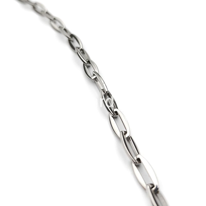 stainless steel bag chain-14